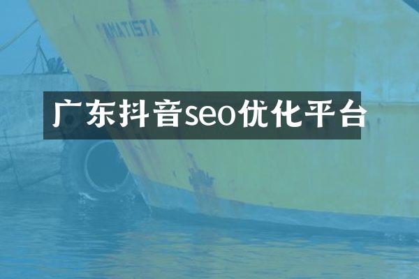 广东抖音seo优化平台