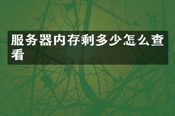 服务器内存剩多少怎么查看