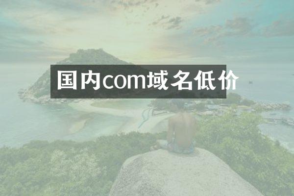 国内com域名低价