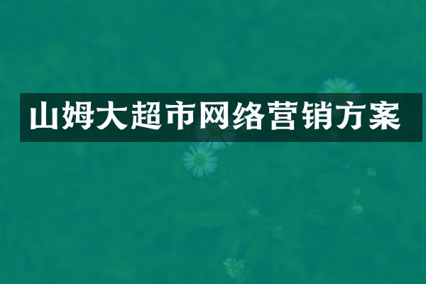 山姆大超市网络营销方案
