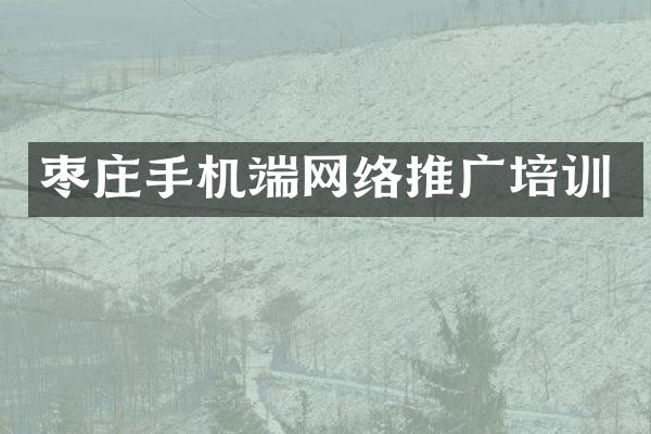 枣庄手机端网络推广培训
