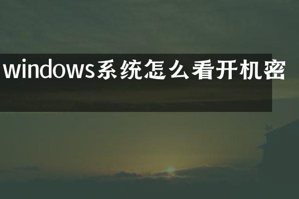 windows系统怎么看开机密码