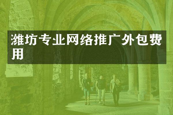 潍坊专业网络推广外包费用