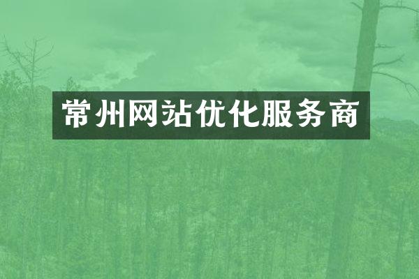 常州网站优化服务商