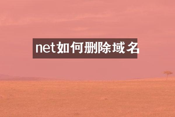net如何删除域名