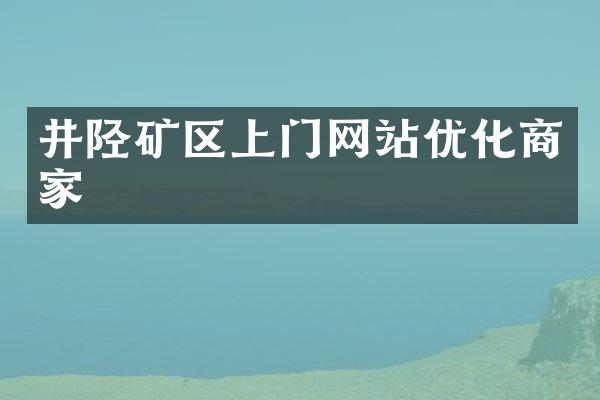 井陉矿区上门网站优化商家