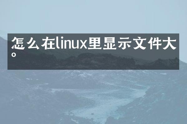 怎么在linux里显示文件大小