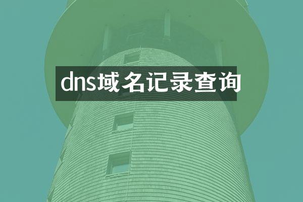 dns域名记录查询