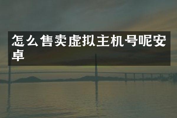 怎么售卖虚拟主机号呢安卓