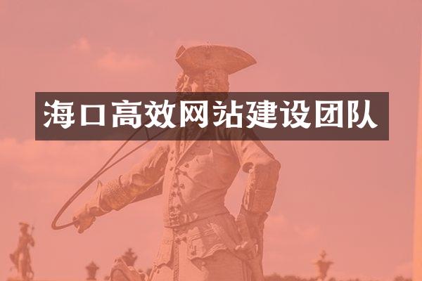 海口高效网站建设团队