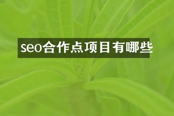 seo合作点项目有哪些