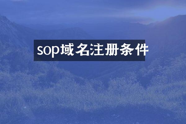 sop域名注册条件