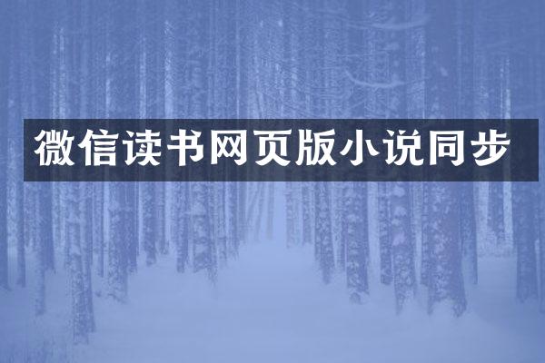 微信读书网页版小说同步