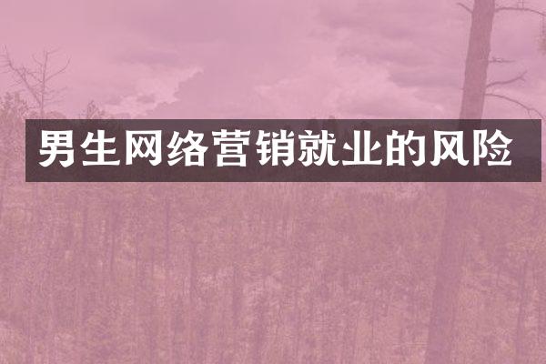男生网络营销就业的风险