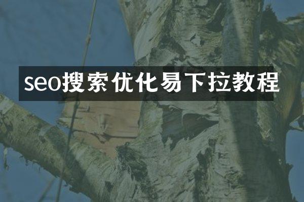 seo搜索优化易下拉教程