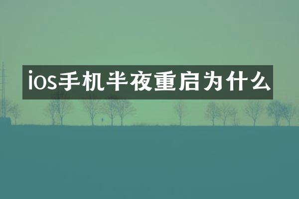 ios手机半夜重启为什么