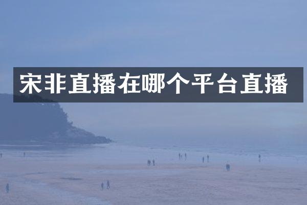 宋非直播在哪个平台直播