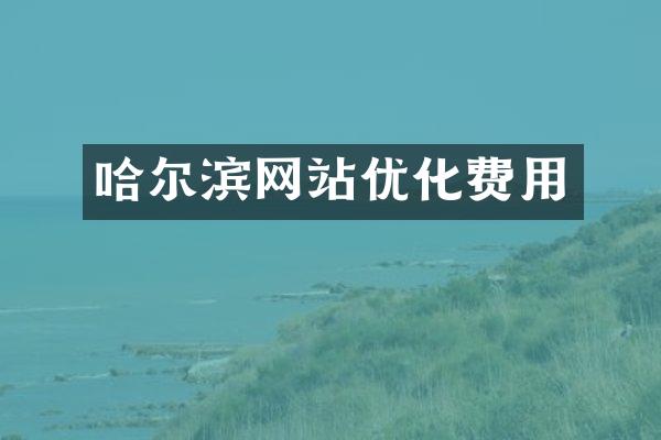 哈尔滨网站优化费用