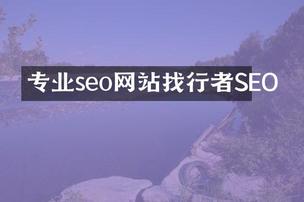 专业seo网站找行者SEO