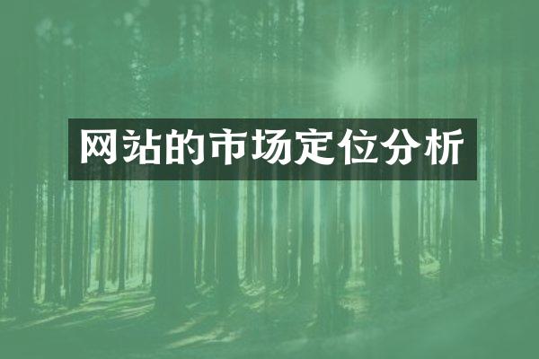 网站的市场定位分析