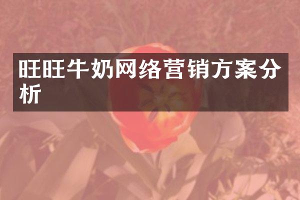 旺旺牛奶网络营销方案分析