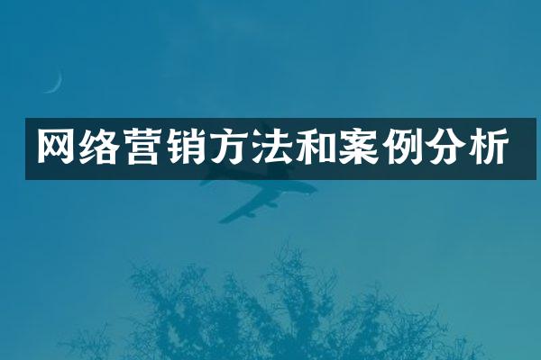 网络营销方法和案例分析