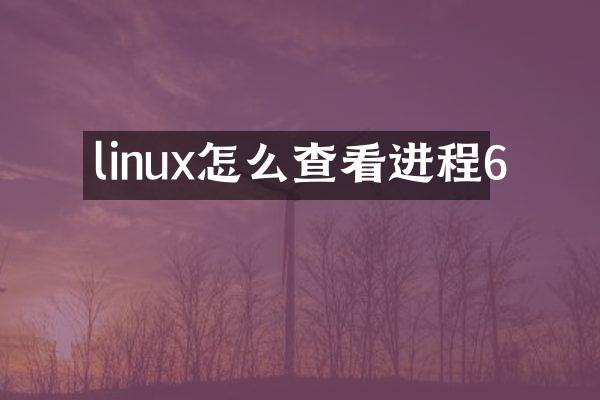 linux怎么查看进程6