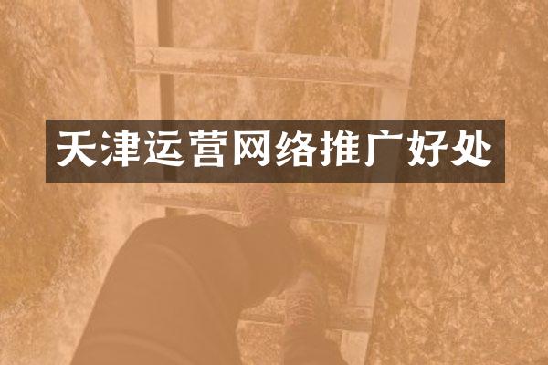天津运营网络推广好处