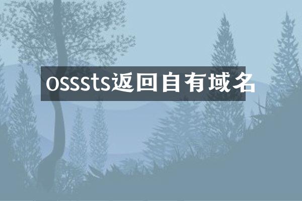osssts返回自有域名