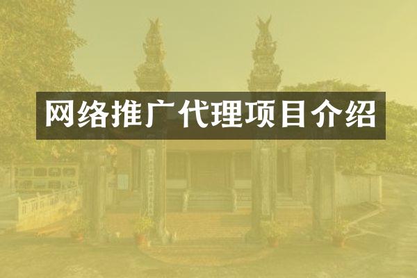网络推广代理项目介绍