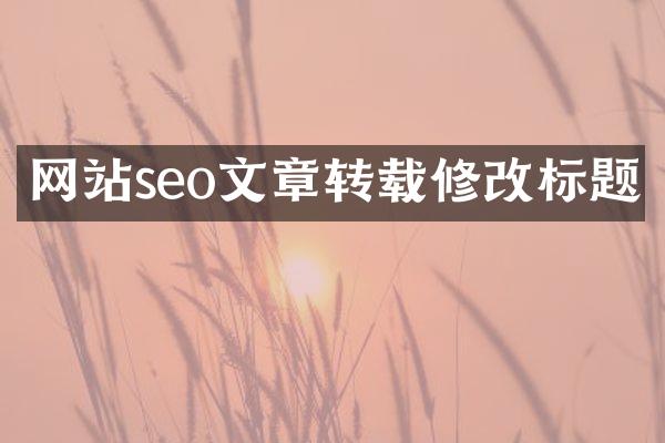 网站seo文章转载修改标题