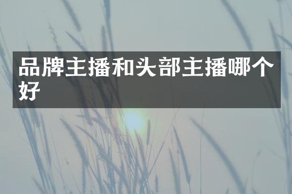 品牌主播和头部主播哪个好