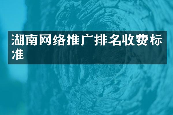 湖南网络推广排名收费标准
