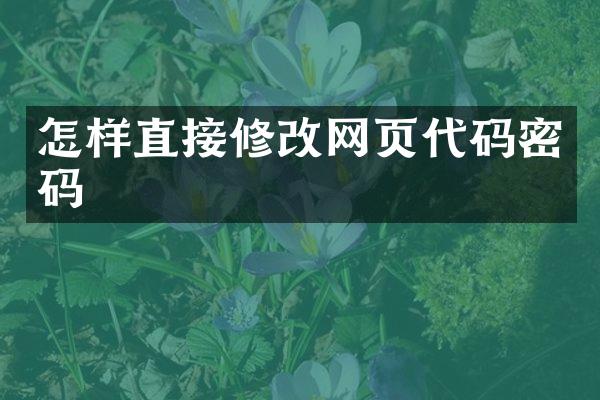 怎样直接修改网页代码密码