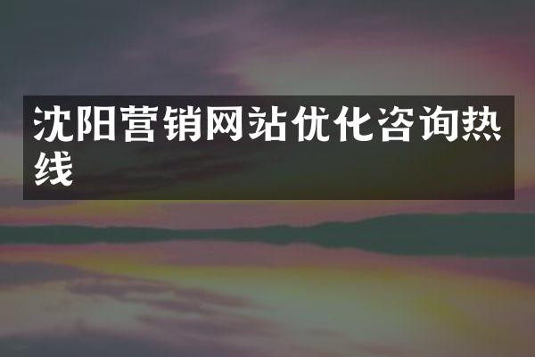 沈阳营销网站优化咨询热线