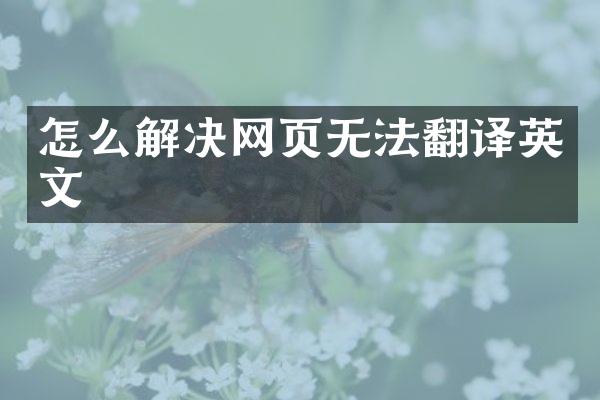怎么解决网页无法翻译英文