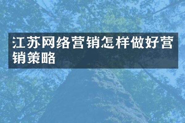江苏网络营销怎样做好营销策略