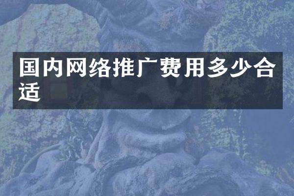 国内网络推广费用多少合适