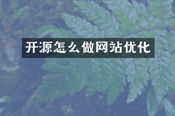 开源怎么做网站优化