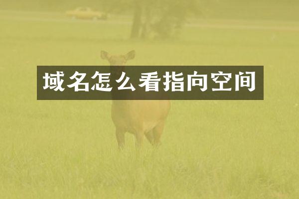 域名怎么看指向空间