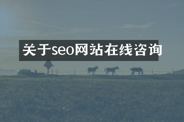 关于seo网站在线咨询