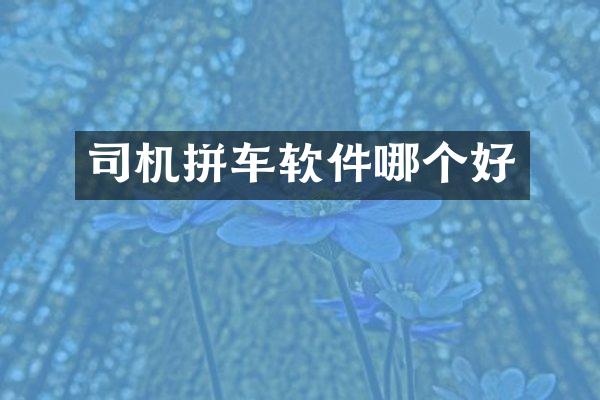 司机拼车软件哪个好