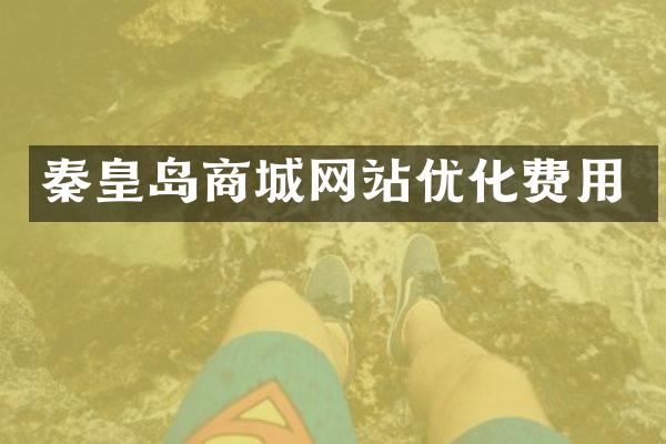 秦皇岛商城网站优化费用