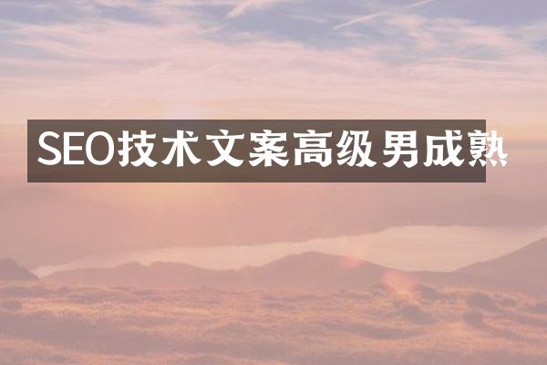 SEO技术文案高级男成熟