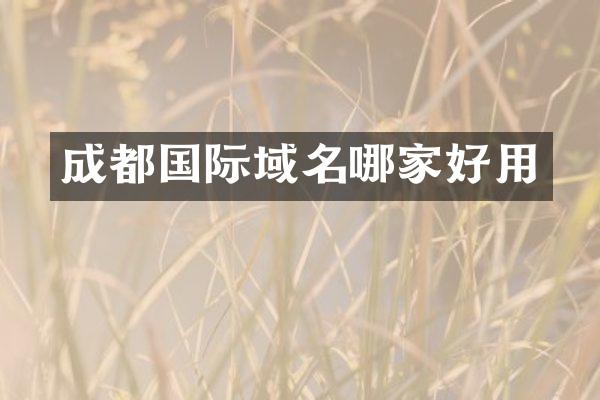成都国际域名哪家好用