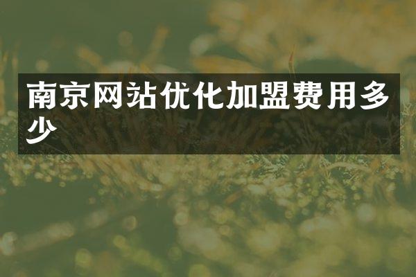 南京网站优化加盟费用多少