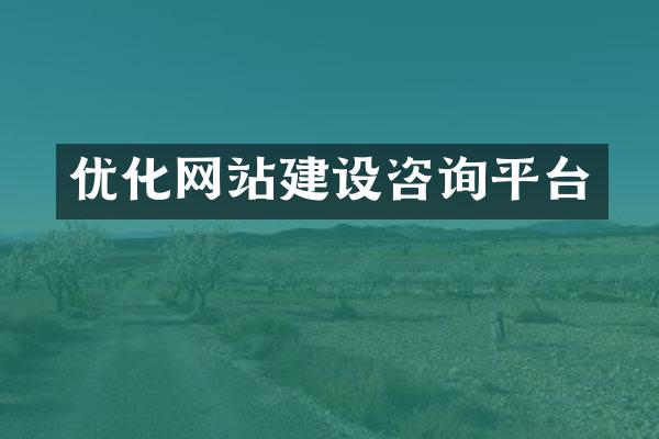 优化网站建设咨询平台