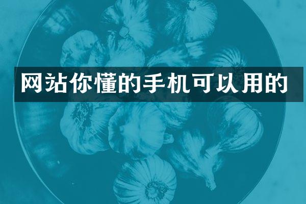 网站你懂的手机可以用的