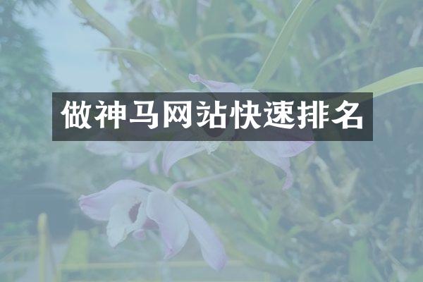 做神马网站快速排名