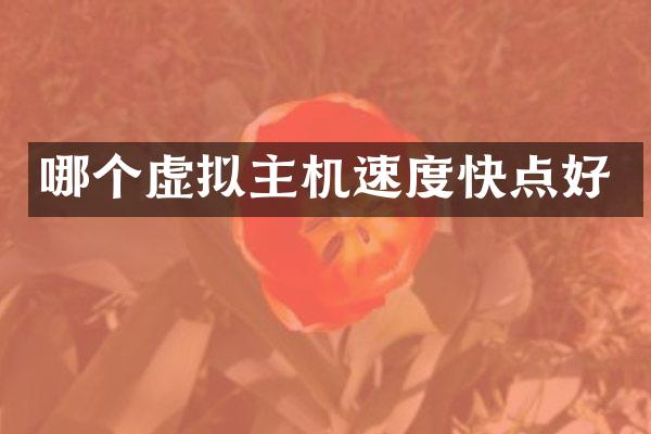 哪个虚拟主机速度快点好